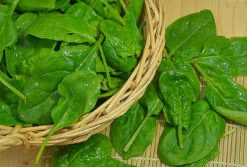 Spinach leaves Spinach many benefits
