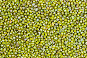 Green beans or mung beans background