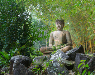 Buddha statue in bamboo forest