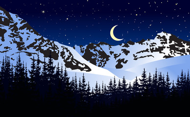 Winter mountains at moonlit night. Vector illustration.