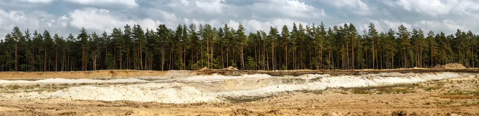 Fotobehang Pine forest and sand pit © Veresovich
