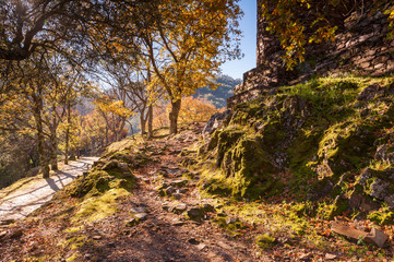Fototapeta premium Autumn park in Portugal
