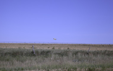Naklejka premium Crop Duster