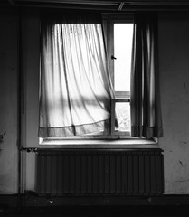 old window with curtain II