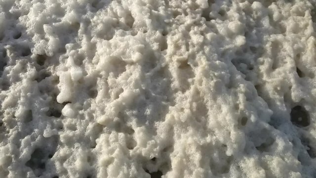 Schaum am Nordseestrand in J&uuml;tland