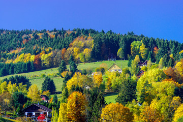 Beautiful colorful autumnal landscape of alsacien hills