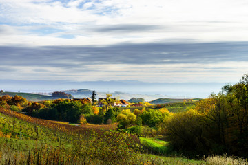 Fototapeta na wymiar Beautiful landscape of alsacien hills with vineyards