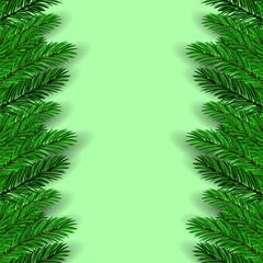Fototapeta na wymiar Green Fir Branches