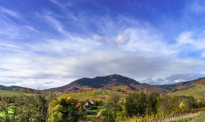 Fototapeta premium Beautiful landscape of alsacien hills with vineyards