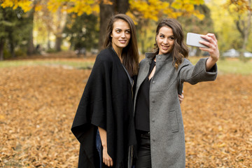 Young women taking selfie with smartphone outdoor