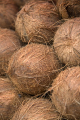 Coconut on the market
