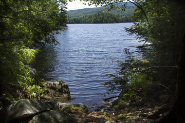 Shoreline and fresh water of Mountain View Lake in Sunapee, New Hampshire.