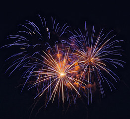 Colorful fireworks in the night sky.
