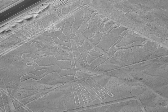 The Tree - Nasca Lines - Peru