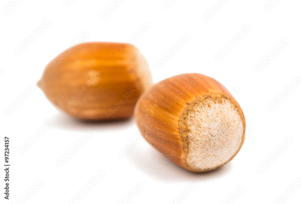 Poster hazel nuts in the shell