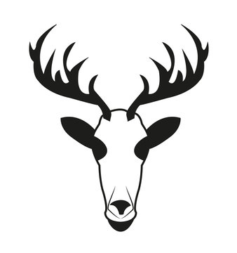 Reindeer head isolated on white, testa di renna su fondo bianco
