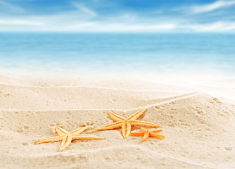 Starfishes on sea sand background