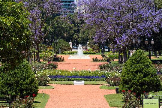 Rose Park (Rosedal), Buenos Aires Argentina