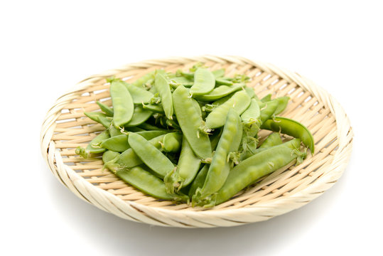 705 Best 絹さや Images Stock Photos Vectors Adobe Stock