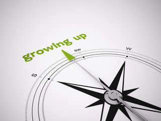 Conceptual 3D Compass