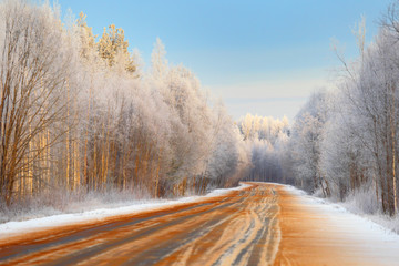 Open road. Winter forest.
