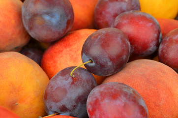 Plum and peach