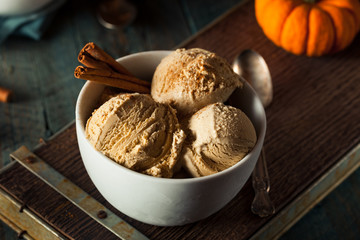 Homemade Pumpkin Pie Ice Cream