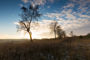 Landscape of fields at late autumn or winter