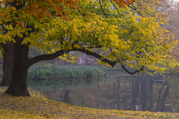 Beautiful autumn in Hannover Maschpark