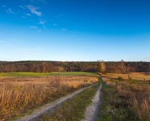 Fototapeta na wymiar Landscape of fields at late autumn or winter