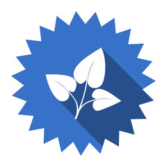 Obraz premium leaf blue flat icon