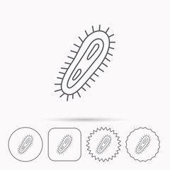 Bacteria icon. Medicine infection symbol.
