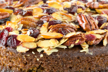 Pecan cake made with sliced almonds and dried cranberries 