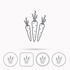Carrots icon. Vegetarian food sign.