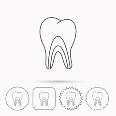 Dentinal tubules icon. Tooth medicine sign.