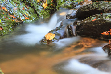 waterfall and rocks covered with moss