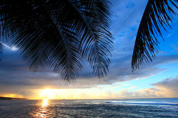Puerto Rico Tropical Beach Sunset 
