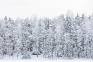 Winter lake scenery in finland