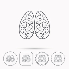 Neurology icon. Human brain sign.