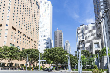 Obraz premium 新宿副都心
