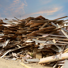 Waste wood pile