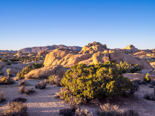 Jumbo Rocks in Joshua Tree National Park, California, USA, where the Mojave and Colorado desert ecosystems meet.