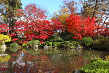 秋の紅葉公園