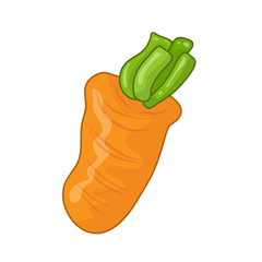 Carrot isolated illustration