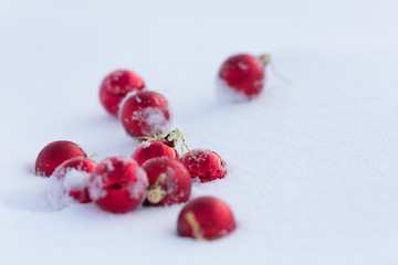 red christmas balls in fresh snow