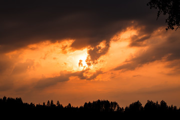 Fiery sunset and silhouette forest