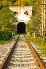 Fototapeta na wymiar Old railway tunnel