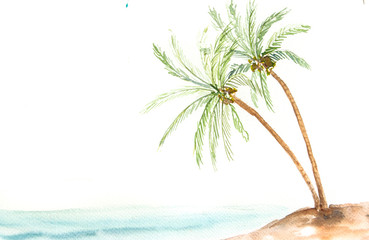 Coconut tree, watercolor painting