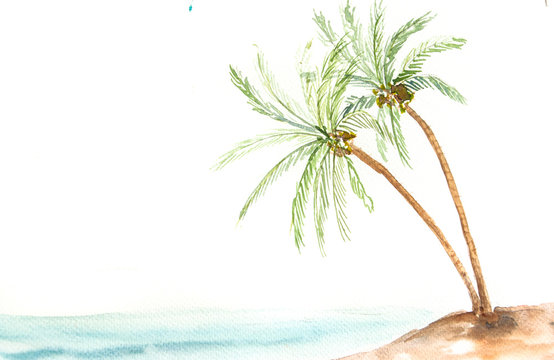 Coconut Tree, Watercolor Painting