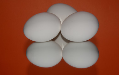 Eggs and reflection on orange background